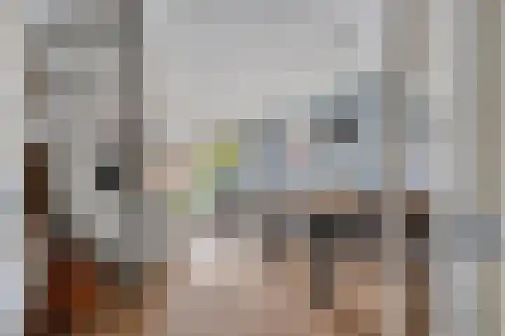 Klaproos 32 Leiden thumbnail 10