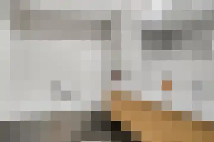 Klaproos 32 Leiden thumbnail 26
