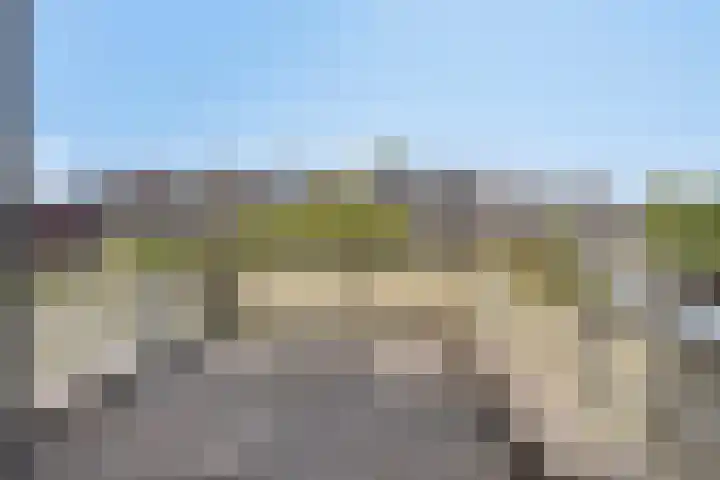 Klaproos 32 Leiden thumbnail 31
