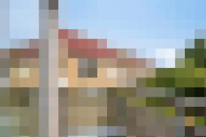 Klaproos 32 Leiden thumbnail 35