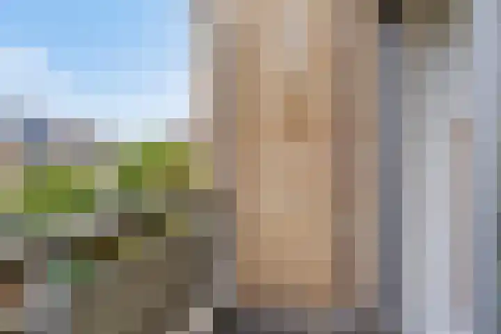 Klaproos 32 Leiden thumbnail 36