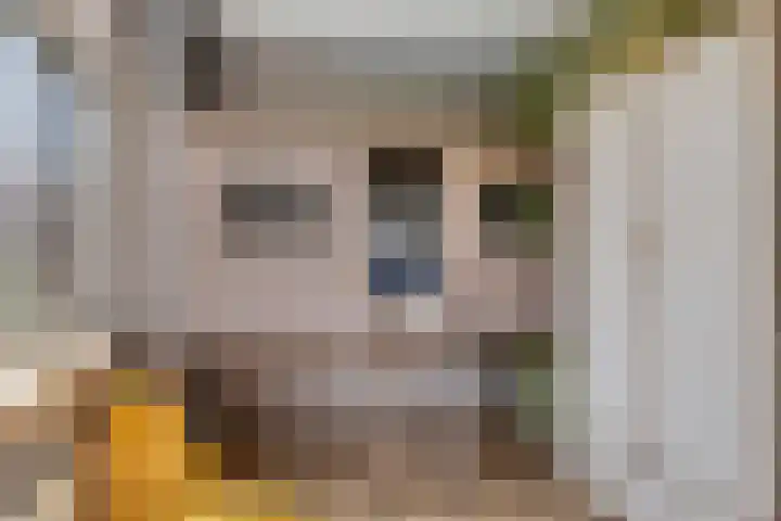Klaproos 32 Leiden thumbnail 38