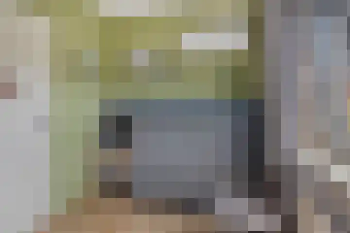 Klaproos 32 Leiden thumbnail 39