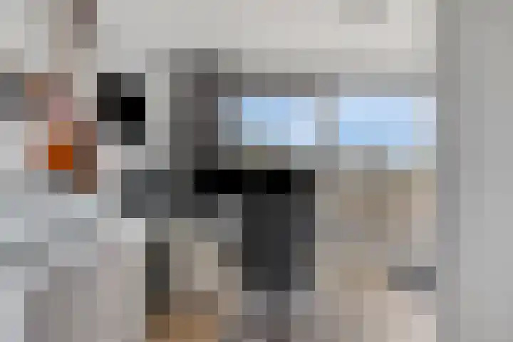Klaproos 32 Leiden thumbnail 42
