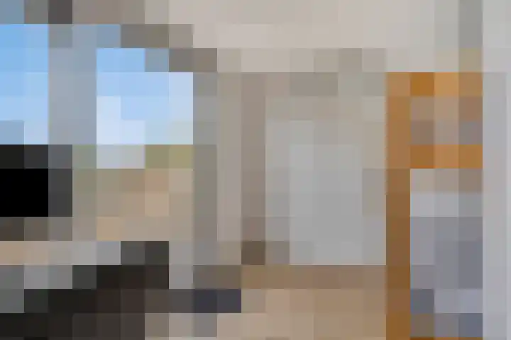 Klaproos 32 Leiden thumbnail 43