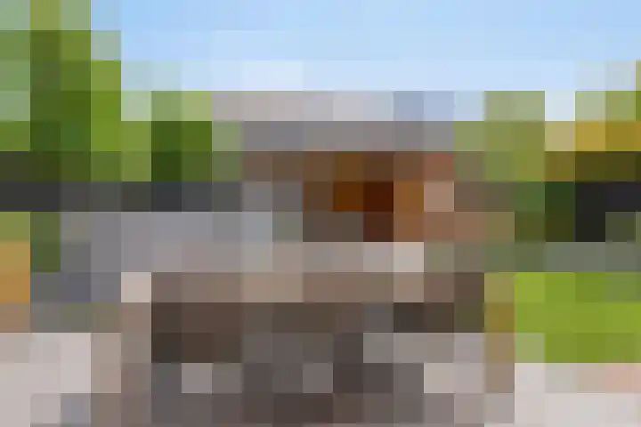 Klaproos 32 Leiden thumbnail 48