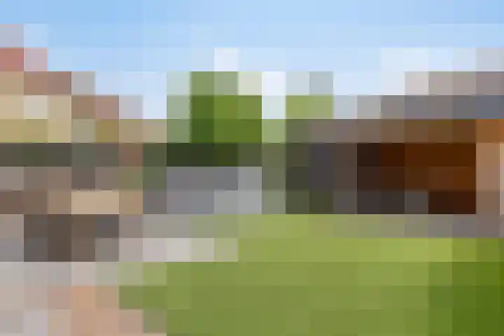 Klaproos 32 Leiden thumbnail 50