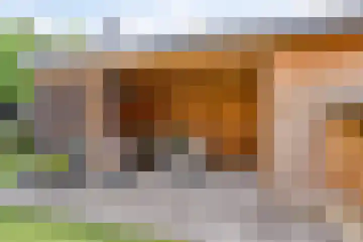 Klaproos 32 Leiden thumbnail 51