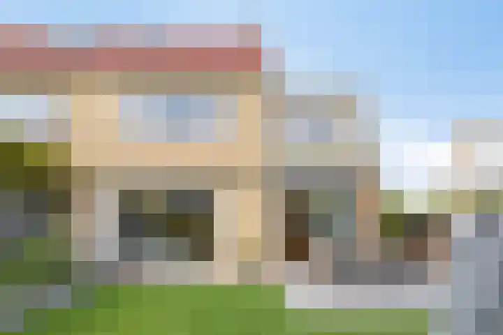 Klaproos 32 Leiden thumbnail 53
