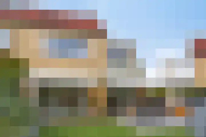 Klaproos 32 Leiden thumbnail 54