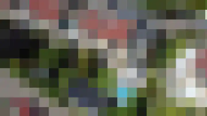 Klaproos 32 Leiden thumbnail 6