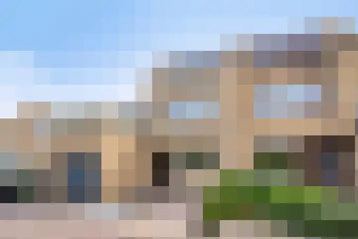 Klaproos 32 Leiden thumbnail 7