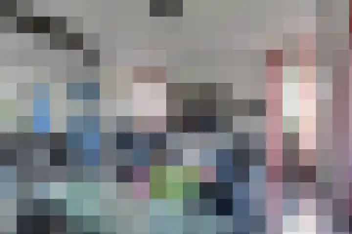 Klaproos 34 Opmeer thumbnail 11