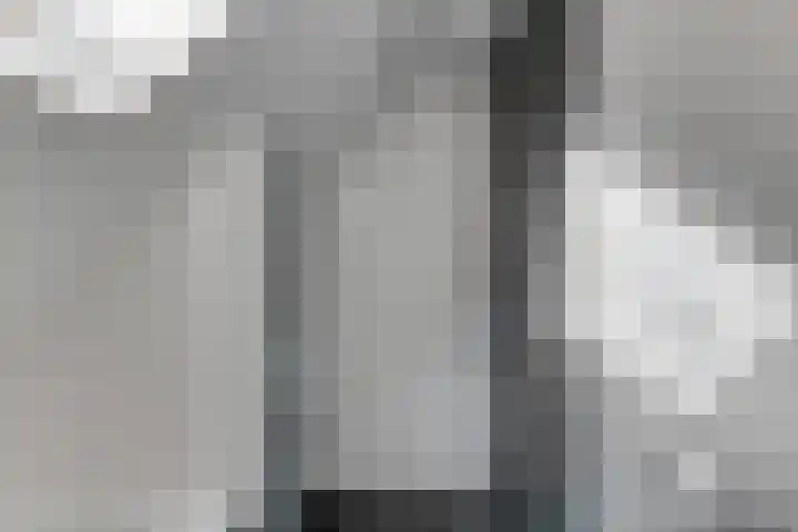 Klaproos 34 Opmeer thumbnail 23