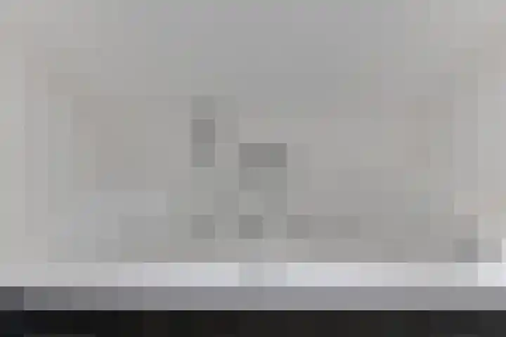 Klaproos 34 Opmeer thumbnail 24