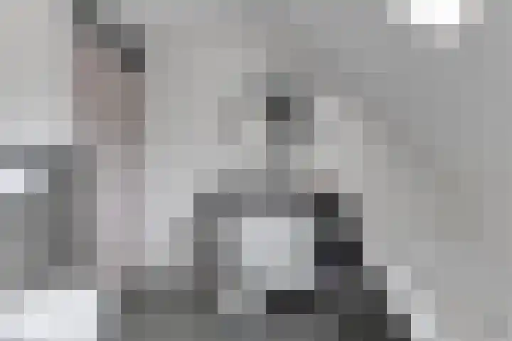 Klaproos 34 Opmeer thumbnail 25