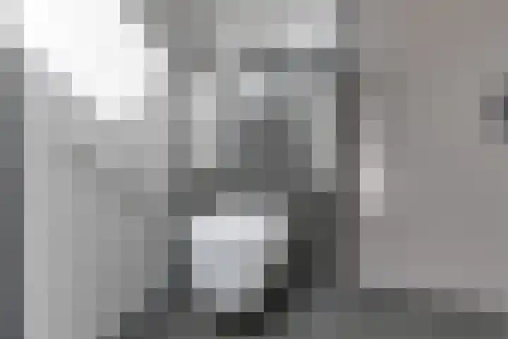 Klaproos 34 Opmeer thumbnail 26