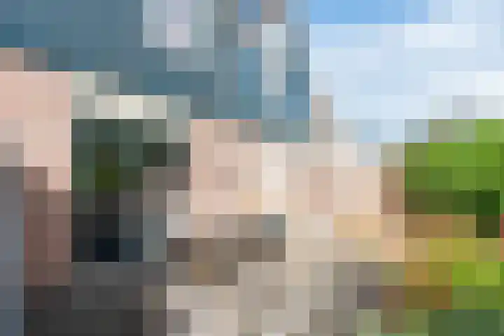 Klaproos 34 Opmeer thumbnail 31