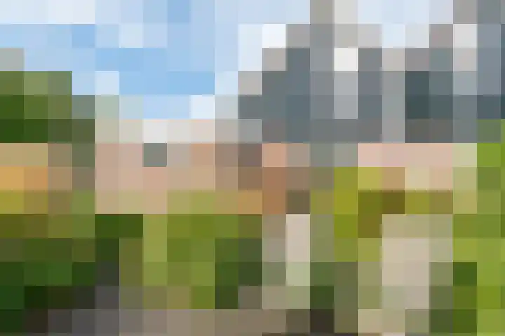 Klaproos 34 Opmeer thumbnail 33