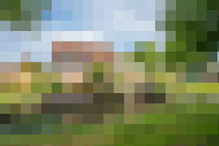 Klaproos 34 Opmeer thumbnail 34