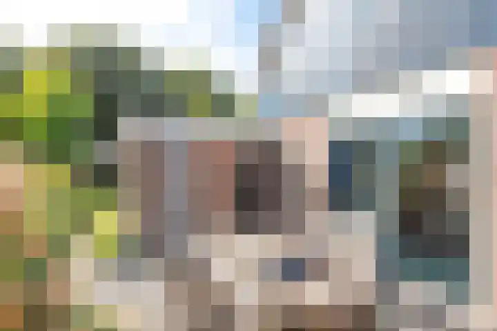 Klaproos 34 Opmeer thumbnail 36