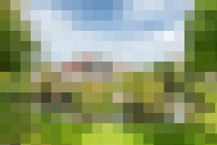 Klaproos 34 Opmeer thumbnail 37
