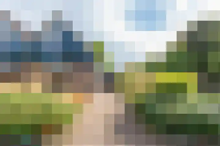 Klaproos 34 Opmeer thumbnail 38