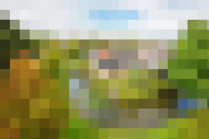 Klaproos 34 Opmeer thumbnail 6