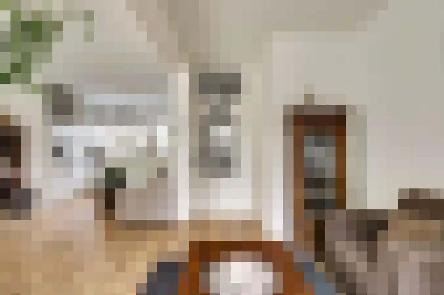 Klaproos 39 Werkendam thumbnail 14