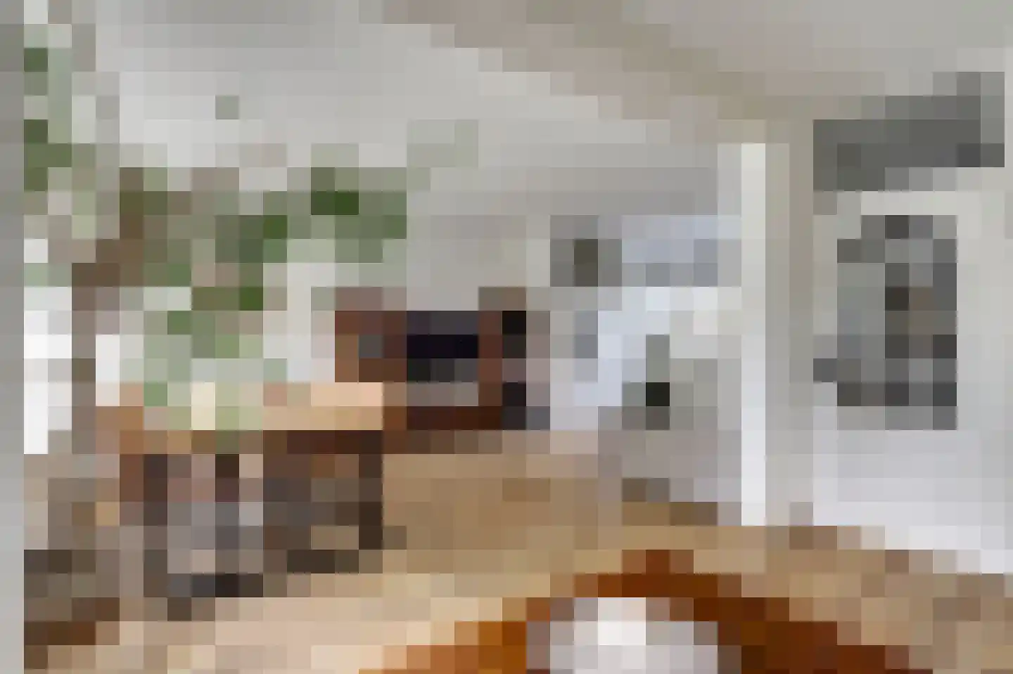 Klaproos 39 Werkendam thumbnail 15