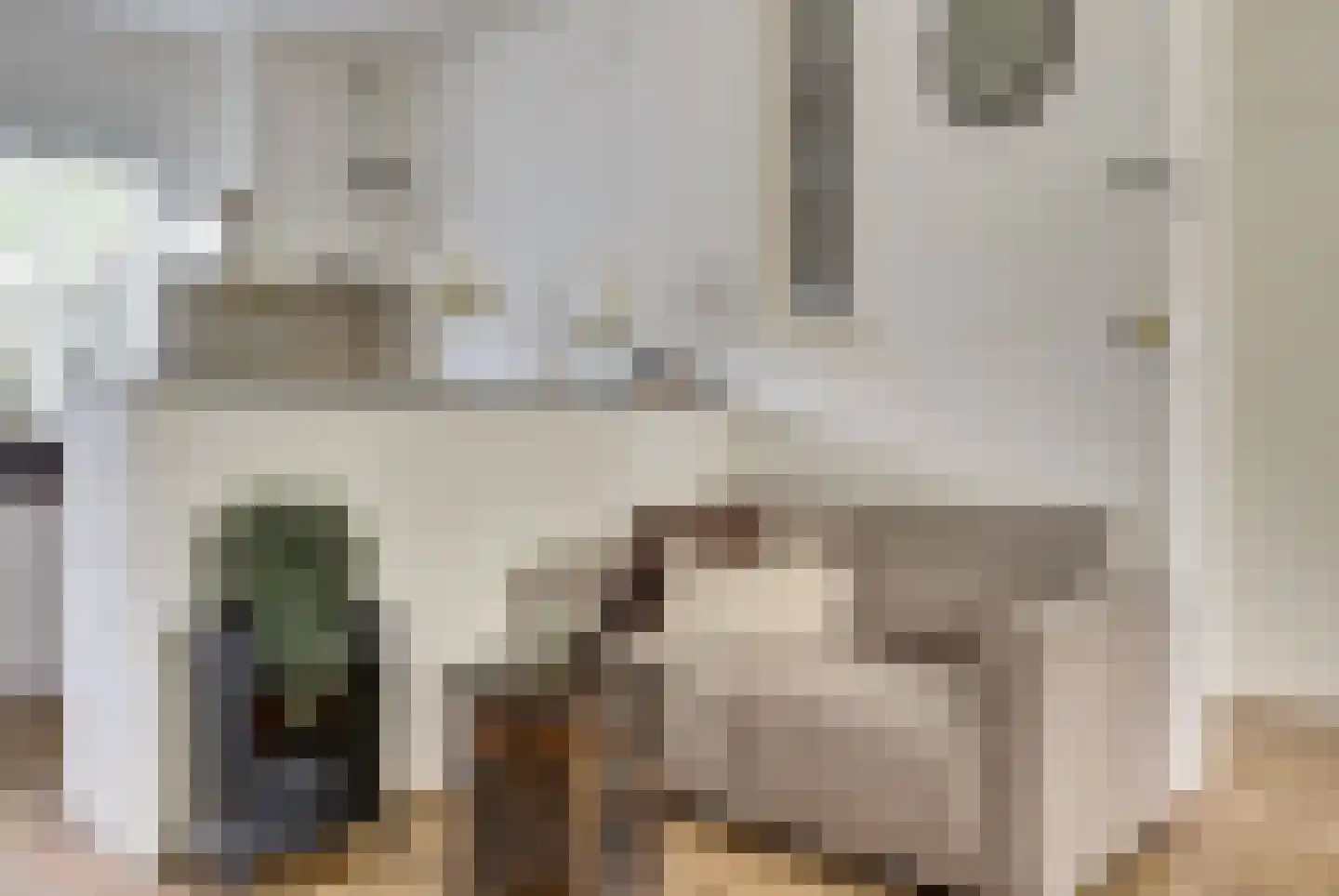Klaproos 39 Werkendam thumbnail 17