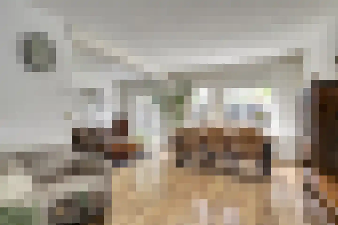 Klaproos 39 Werkendam thumbnail 19