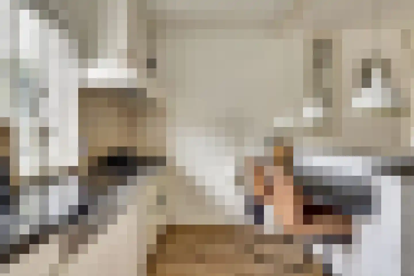 Klaproos 39 Werkendam thumbnail 22