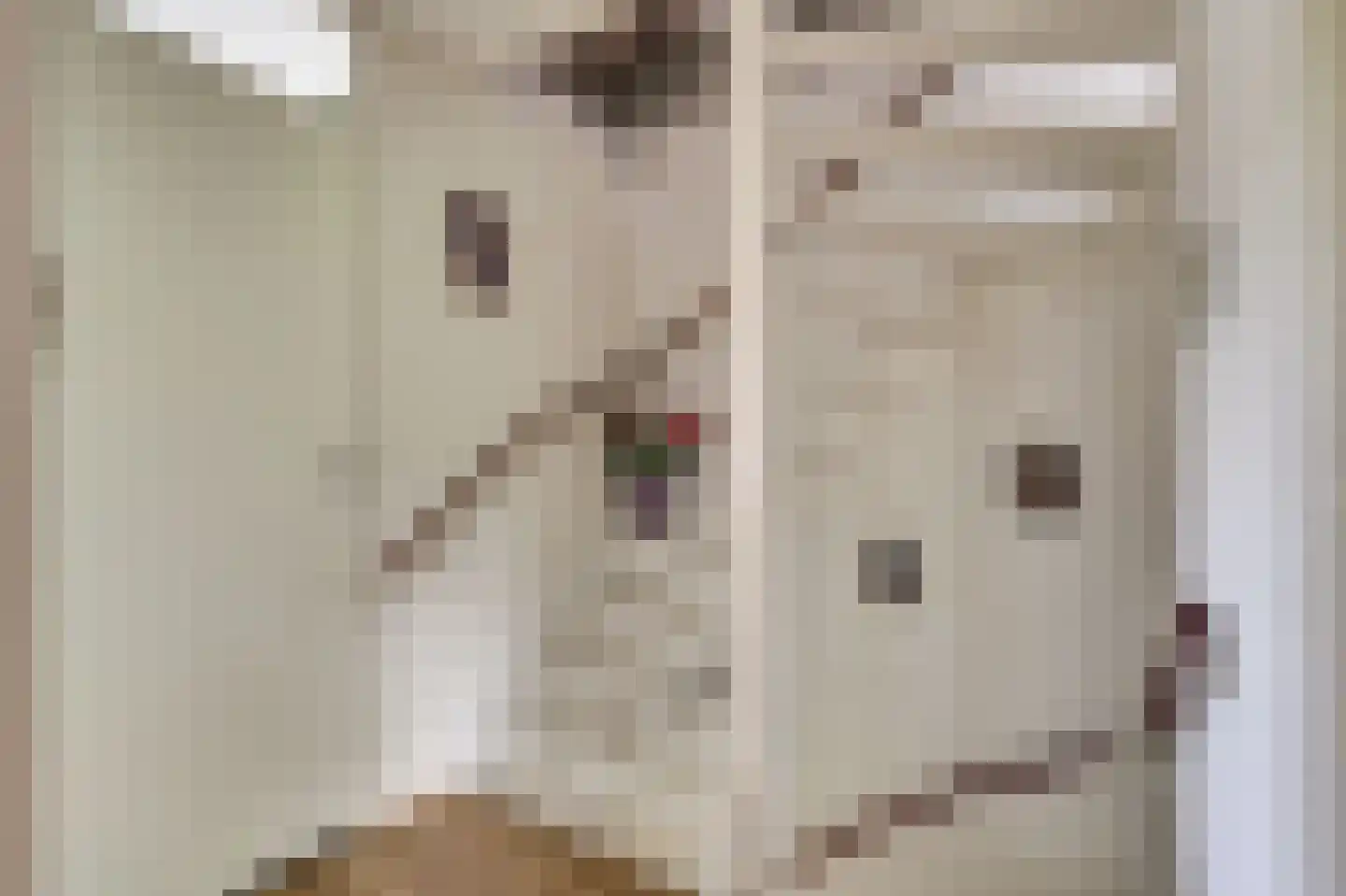 Klaproos 39 Werkendam thumbnail 27