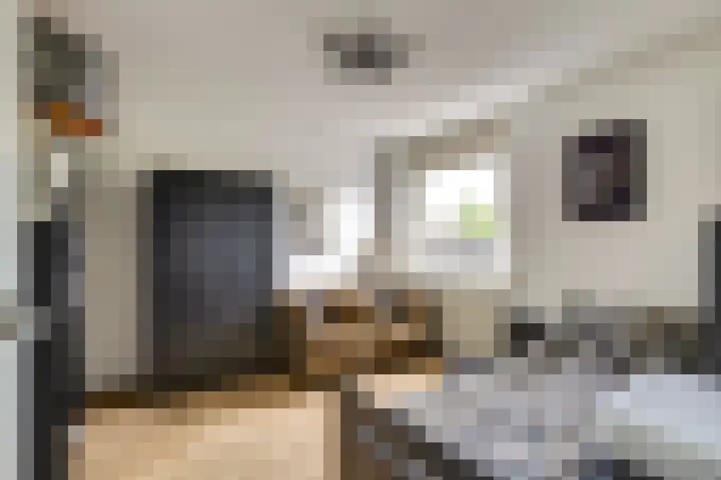Klaproos 39 Werkendam thumbnail 30