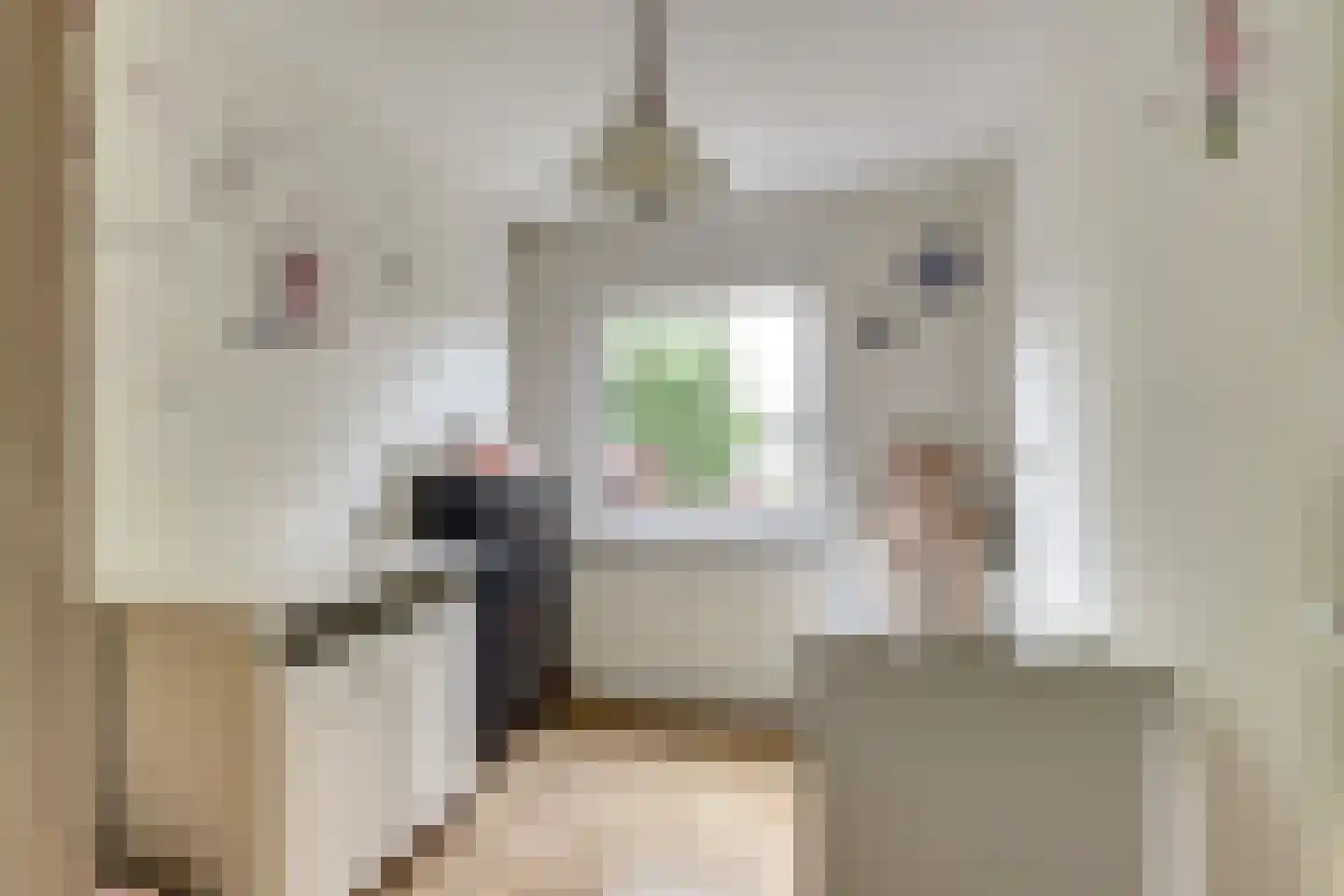Klaproos 39 Werkendam thumbnail 34