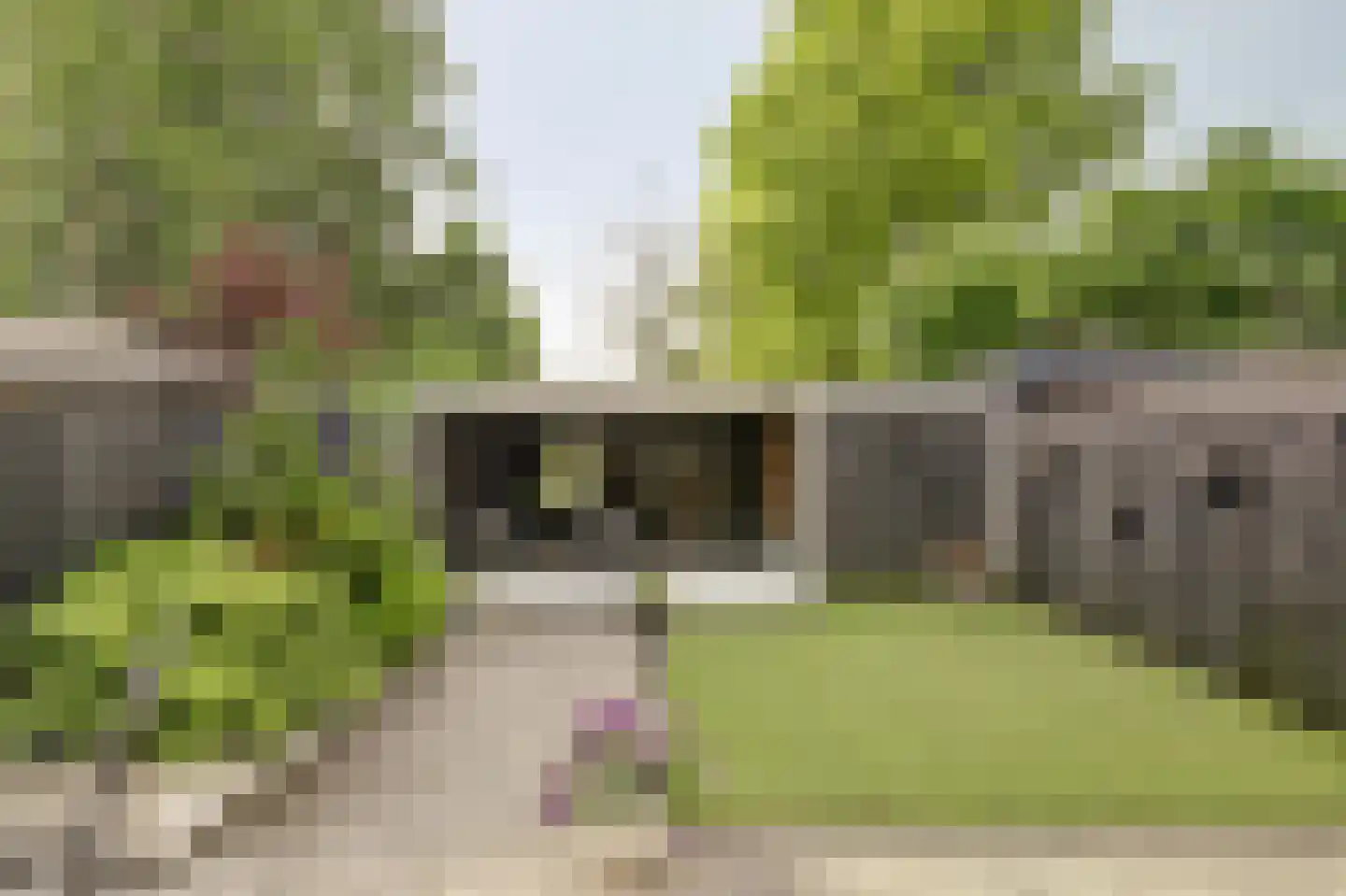 Klaproos 39 Werkendam thumbnail 4