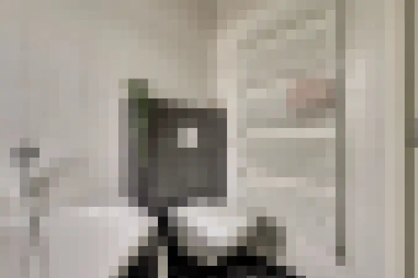 Klaproos 39 Werkendam thumbnail 40