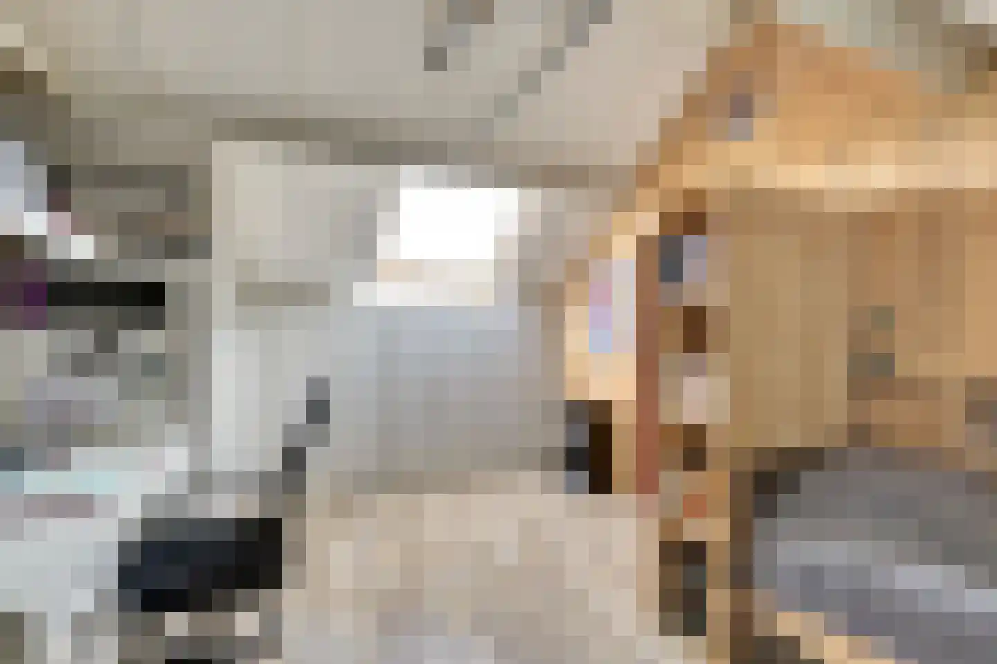 Klaproos 39 Werkendam thumbnail 44