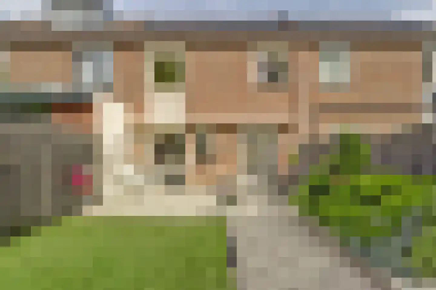 Klaproos 39 Werkendam thumbnail 46