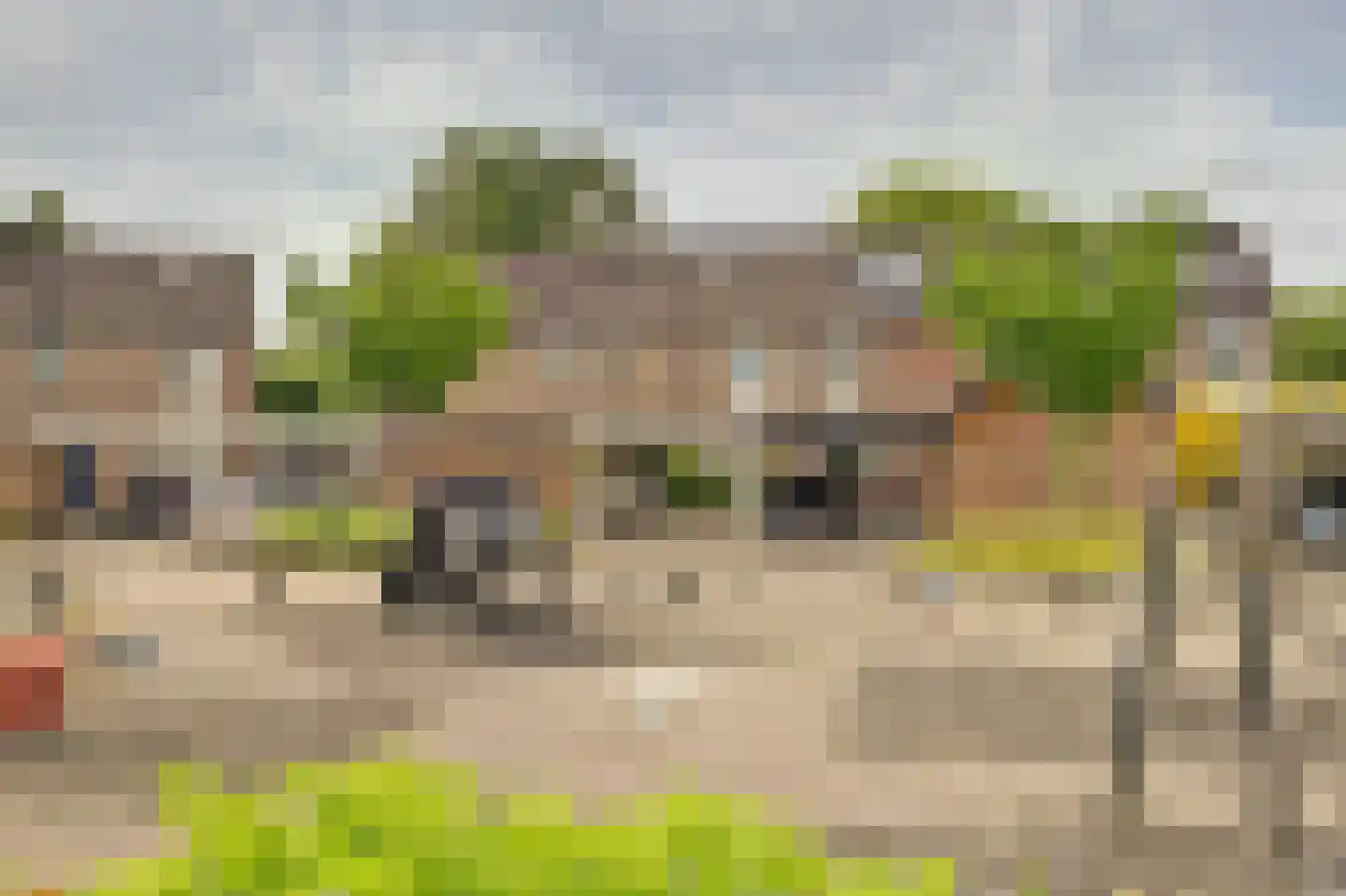 Klaproos 39 Werkendam thumbnail 5