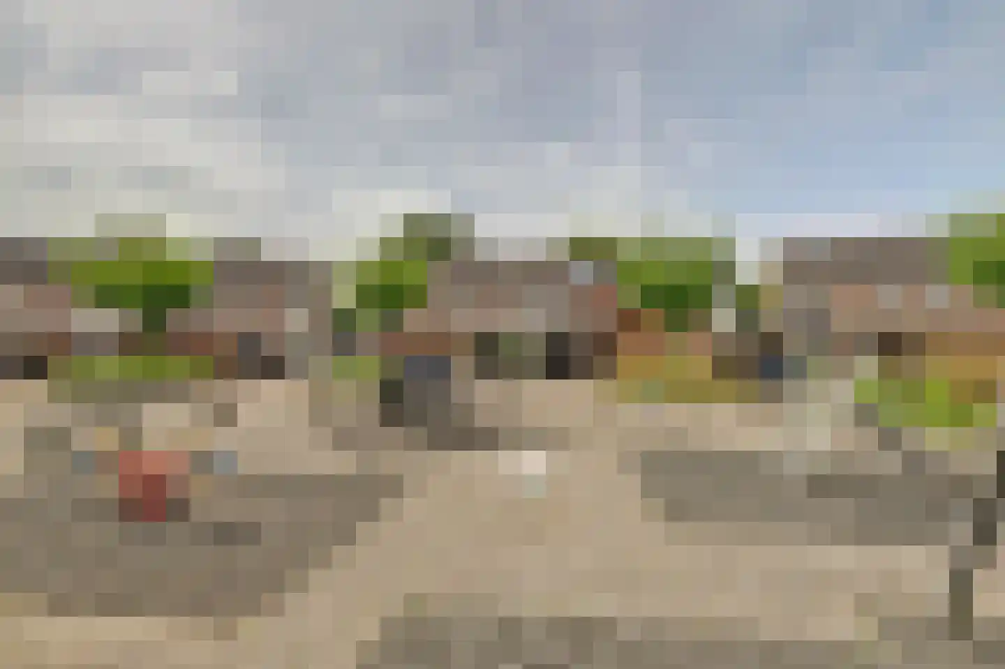 Klaproos 39 Werkendam thumbnail 51