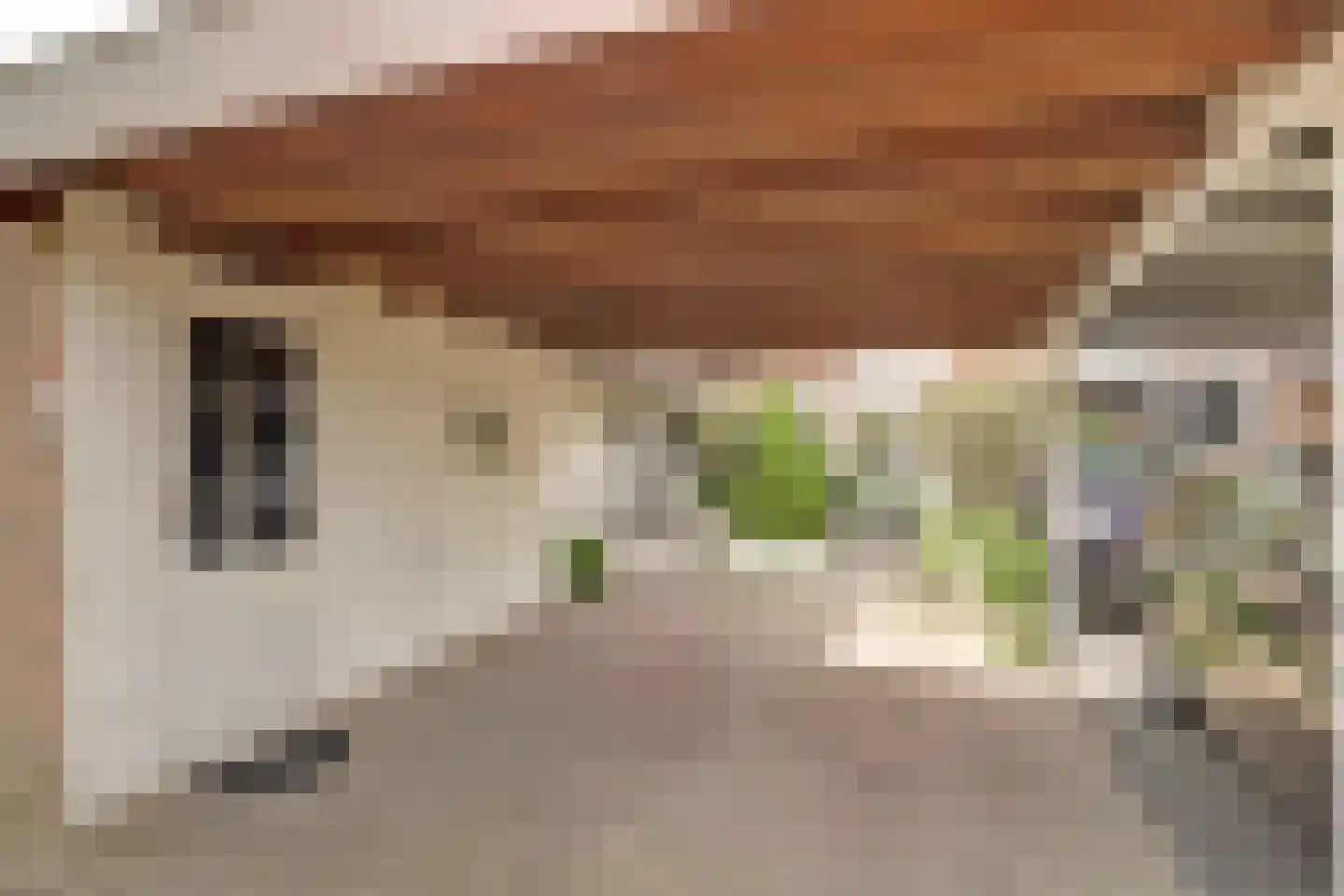 Klaproos 39 Werkendam thumbnail 7
