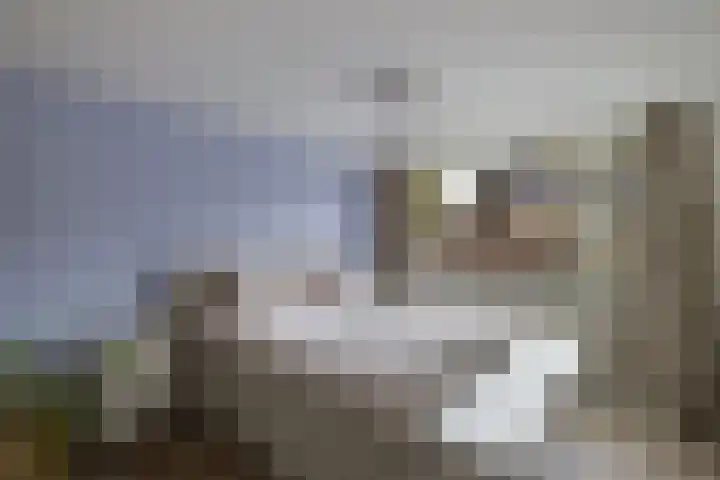 Klaproos 4 Eemnes thumbnail 14