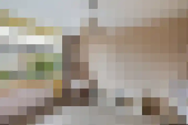 Klaproos 4 Eemnes thumbnail 17