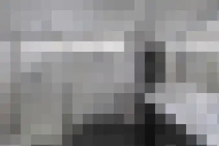 Klaproos 4 Eemnes thumbnail 19