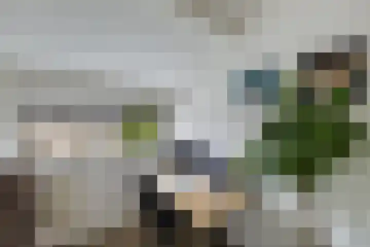 Klaproos 4 Eemnes thumbnail 24