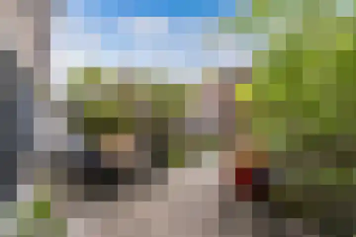 Klaproos 4 Eemnes thumbnail 26