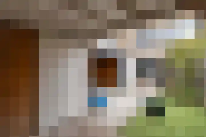 Klaproos 4 Eemnes thumbnail 28