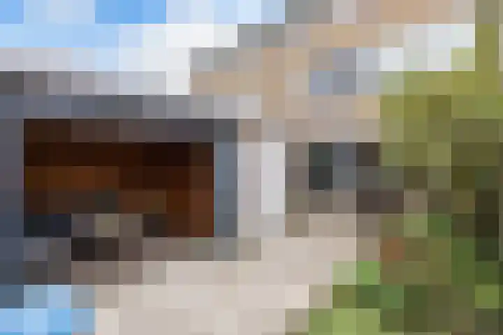 Klaproos 4 Eemnes thumbnail 29